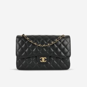 Chanel Classic Double Flap Bag – Small