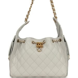 Chanel 25 Hobo Bag – Small